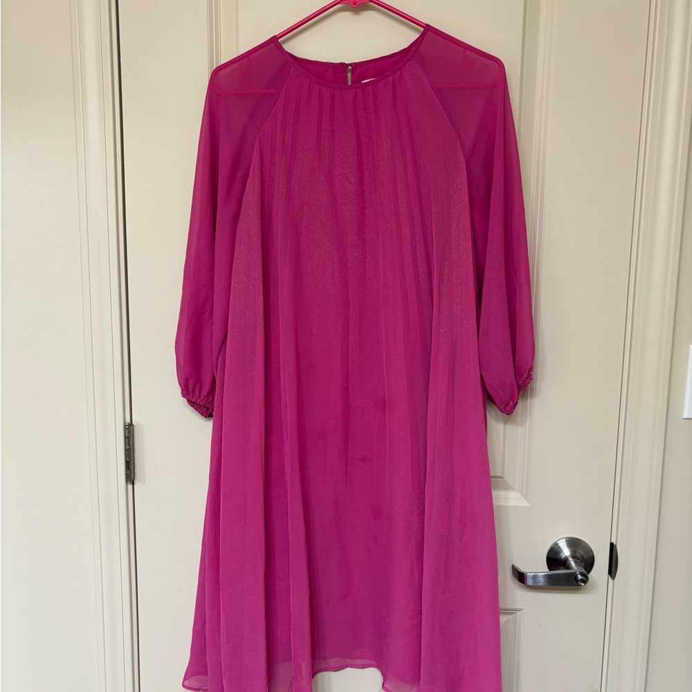 Vibrant Pink Sheer Dress